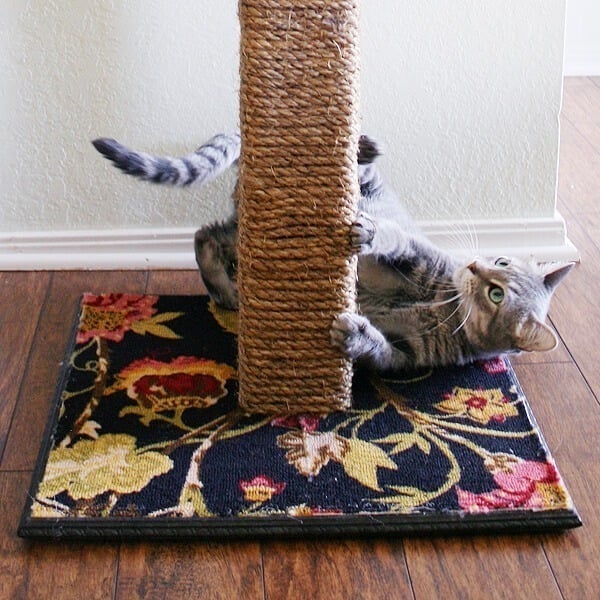 cat scratching post to trim nails
