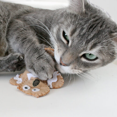 Distressed Gingerbread Man Cat Toys ⋆ Dream a Little Bigger