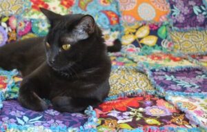 Things to do in isolation... Make a rag quilt!