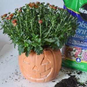 Jack-o'-Lantern Pumpkin Terra Cotta Pot Tutorial