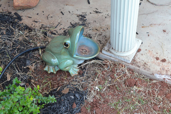 Make this cheap & easy sprinkler system! Plant them and forget them! No dying from lack of water!