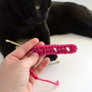 The larksfoot crochet stitch is made up of double crochets and chains. Super easy but lovely pattern.