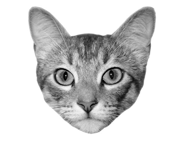 Printable Cat Face Art Dream A Little Bigger