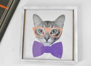 Dress up photos of your pets! Make these fun pics to hang on your walls!