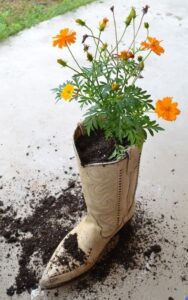 A sweet, rustic addition to your front porch. Like boots left out overnight!