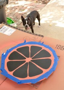 How cute is this grapefruit stand?! Love this tutorial to make your own DIY citrus fruit lazy susan.