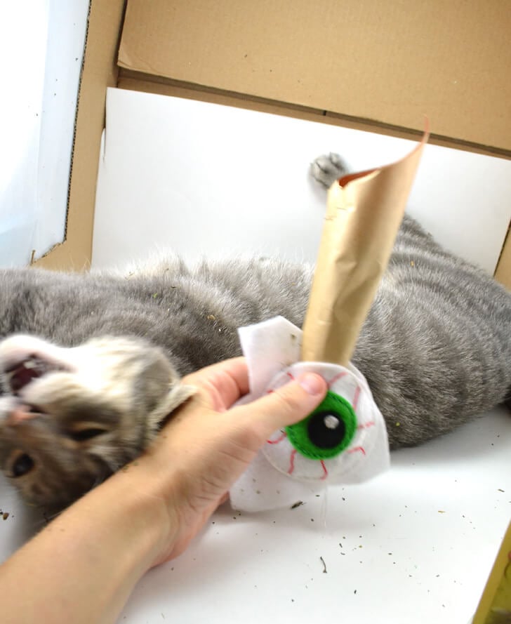 Bloodshot Eyeball Catnip Toys for Halloween Dream a Little Bigger