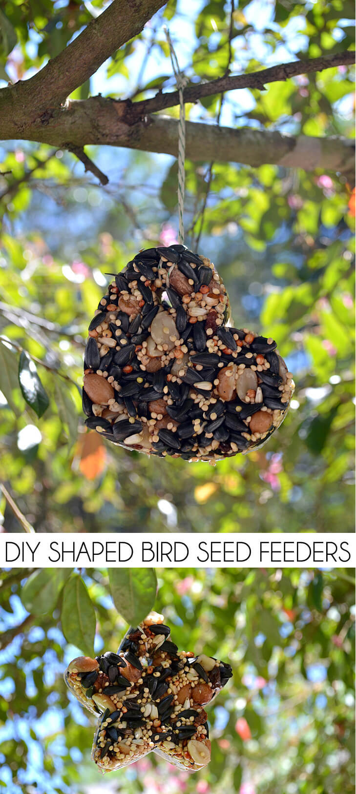 Make bird feeders out of birdseed in just about any shape. It's so easy and these won't fall apart like some recipes!