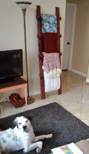 Even a total beginner can make this simple, rustic throw ladder for about $6!!!