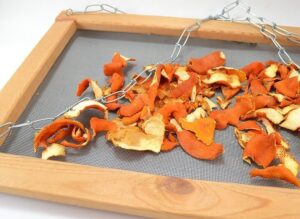 Why spend good money on something you can make at home? Gather those orange peels and make homemade orange oil and save!