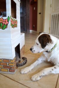 Give kitty something to purr about with their own cardboard cat mansion from upcycled materials!