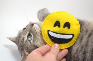 These felt emoji cat toys are the cutest and so simple to make!