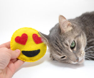 These felt emoji cat toys are the cutest and so simple to make!
