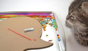 Learn how to make fake sprinkles from polymer clay. It's a fun addition to colorful crafts!