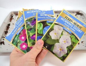 Learn how to make seed balls perfect for new planting or "guerrilla gardening"!