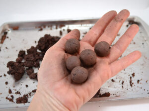 Learn how to make seed balls perfect for new planting or "guerrilla gardening"!