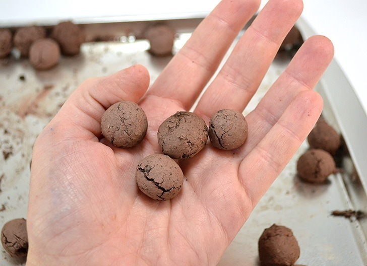 Learn how to make seed balls perfect for new planting or "guerrilla