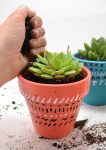 These simple succulent pots are easy to make and are great for a bright pop of life and color in your home decor!