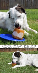 This cool down ice lick will help keep your pets cool on hot summer days!