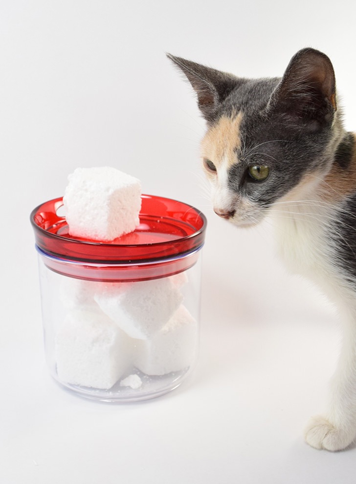 These homemade essential oil fizzing toilet cleaners are super easy to make with only 3 ingredients and keep your toilet sparkling with minimal effort!