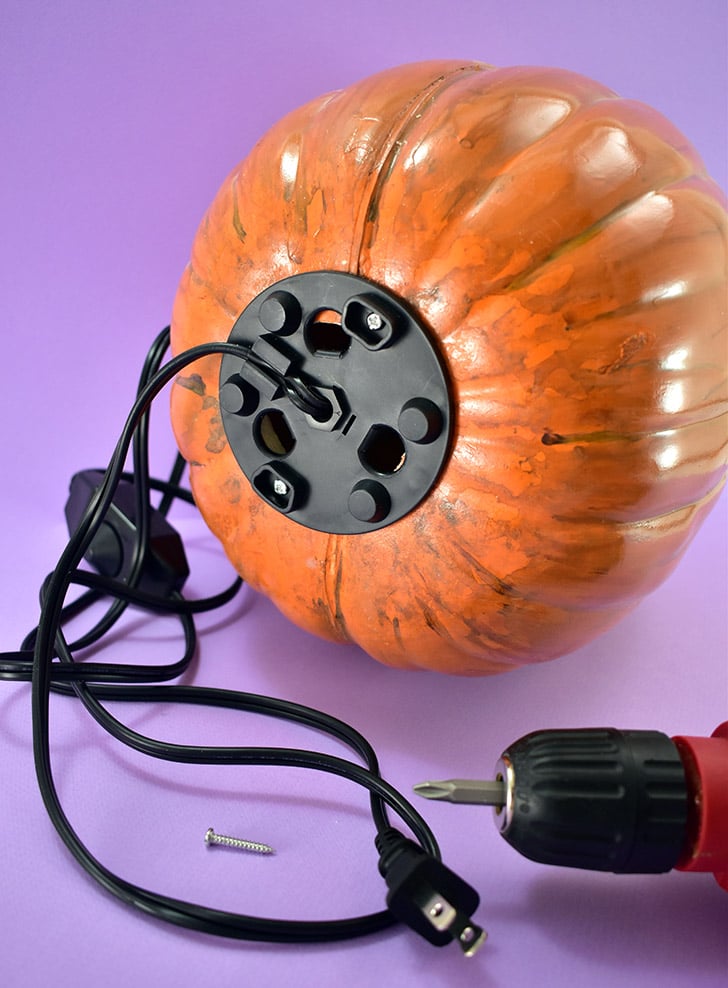 Use small screws (whatever you have on hand that will fit in the holes that will work) to attach the lamp base to the pumpkin. Remove the assembly and place your screws somewhere you can easily find them again.