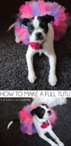 Want to make a super full tutu? Whether it's for a dog or a human (haha!) get the tutorial to make gorgeously full tutu skirts!
