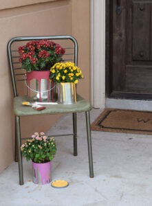 How cute is this? Add fall color to your decor with these simple flowering paint cans. So creative!