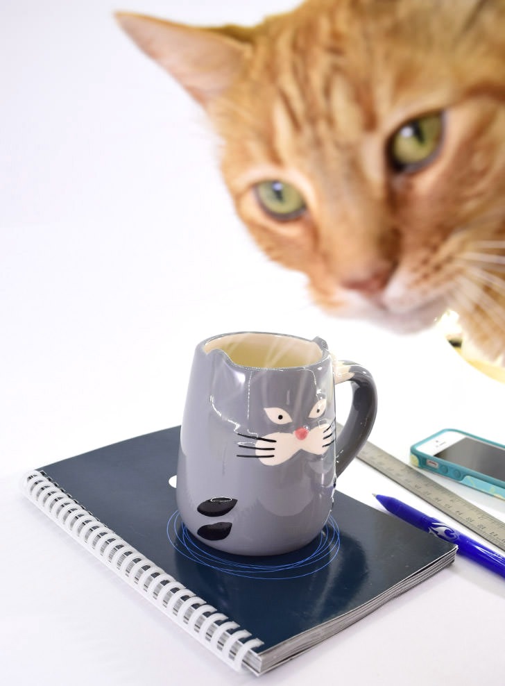 Tired of wasting paper? Erase the pages and start all over again with this microwavable notebook. It's my new favorite thing!