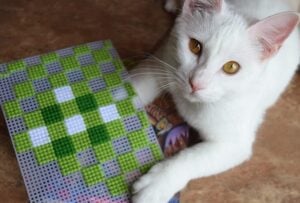 Protect your favorite books with an awesome plastic canvas stitched book cover. It's a great intro to needlepoint project!