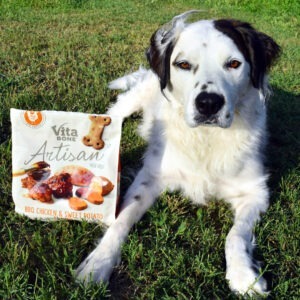 Do you have a dog with sensitive skin? Make your own DIY dog shampoo for pennies on the dollar made special for your pooch's needs!