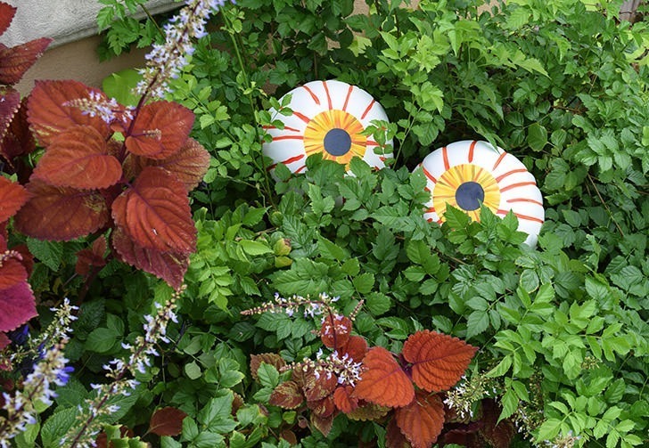These no carve eyeball pumpkins look so cute in the bushes and you can make them in only 15-30 minutes. Great Halloween craft for the kiddos!