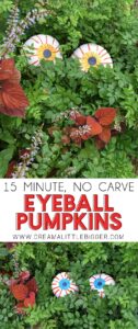 These no carve eyeball pumpkins look so cute in the bushes and you can make them in only 15-30 minutes. Great Halloween craft for the kiddos!