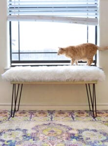Don't you just love furry things? This DIY furry bench has hairpin legs and is totally affordable to make. See the full tutorial to learn how!