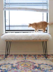 Don't you just love furry things? This DIY furry bench has hairpin legs and is totally afforable to make. See the full tutorial to learn how!