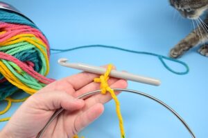 Have a kitty that loves to hide away? Using the yarn you have on hand you can create a lovely crochet cat sack hideaway they'll just love!