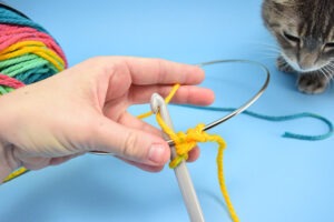 Have a kitty that loves to hide away? Using the yarn you have on hand you can create a lovely crochet cat sack hideaway they'll just love!