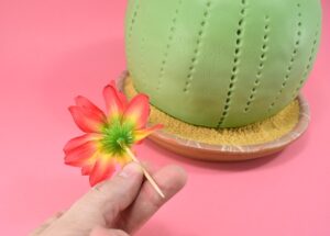 You don't have to be a master decorator to knock out this fun and super easy DIY cactus cake. This one is made from cereal but you can also use real cake!