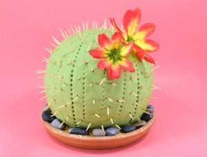 You don't have to be a master decorator to knock out this fun and super easy DIY cactus cake. This one is made from cereal but you can also use real cake!