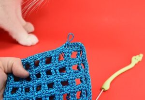 Get the free pattern to create your own crochet mesh seashell collecting bag. Bring home the shells, but keep the sand where it belongs. On the beach!