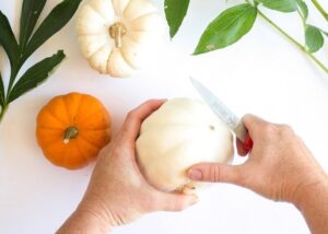 Grab a mini pumpkin & a bouquet of fresh fall flowers & turn them into some amazing arrangements in fresh pumpkin vases that your guests will adore!