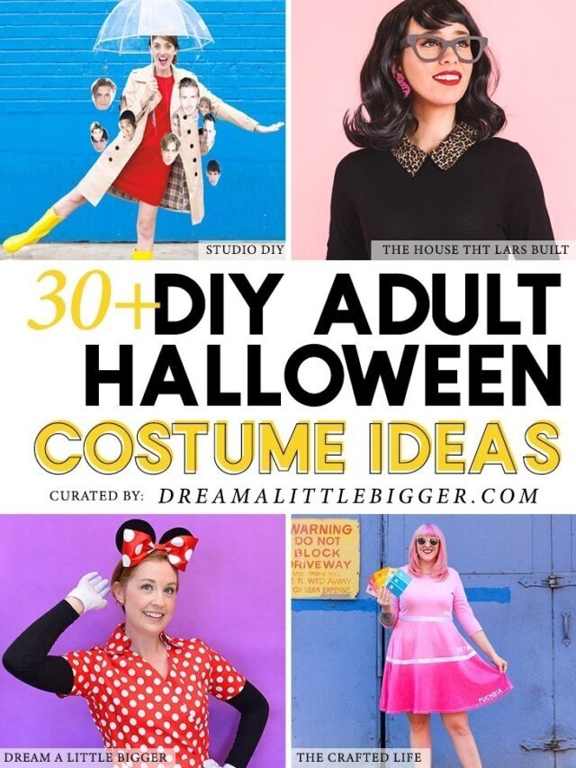 DIY Halloween Costumes for Adults