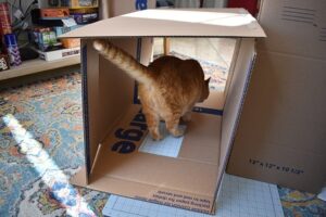 My cat LOVES hiding in boxes. I'm going to make her this gingerbread cat house. All I really need are boxes already in the garage, some paint and a craft knife. LOVE IT!