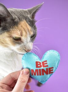 What a cute way to share Valentine's Day with your kitties! These adorable catnip conversation heart cat toys are adorable and filled with catnip!