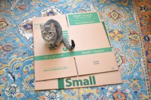 Don't you just love this "hissing booth" cardboard cat hideaway? All you need is a moving box and some cardstock to make this adorable kitty play place.