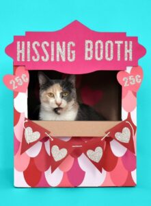 Don't you just love this "hissing booth" cardboard cat hideaway? All you need is a moving box and some cardstock to make this adorable kitty play place.