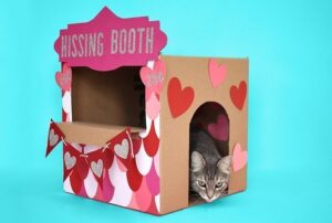 Don't you just love this "hissing booth" cardboard cat hideaway? All you need is a moving box and some cardstock to make this adorable kitty play place.