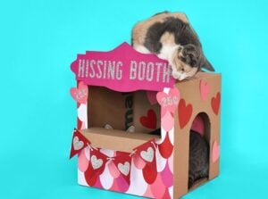 Don't you just love this "hissing booth" cardboard cat hideaway? All you need is a moving box and some cardstock to make this adorable kitty play place.