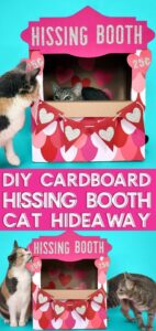 Don't you just love this "hissing booth" cardboard cat hideaway? All you need is a moving box and some cardstock to make this adorable kitty play place.