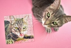 Turn your favorite photo into a puzzle! How cool is this?