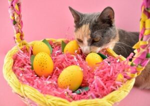 These easy and adorable lemon eggs are too kitschy cute to not make! Plus learn our hack for the EASIEST way to dye Easter eggs, hands down!
